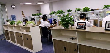 湖南企業管理咨詢行業 賦能企業成長，驅動區域經濟新篇章